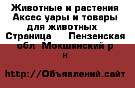 Животные и растения Аксесcуары и товары для животных - Страница 3 . Пензенская обл.,Мокшанский р-н